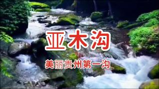 爱旅行的芭比